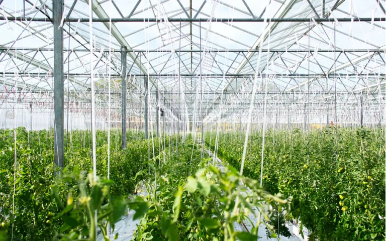 greenhouses